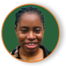 Adebisi Damilola - Programme Coordinator